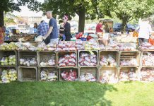 Crates of apples stacked onto of each other at apple fest