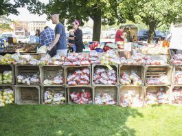 Crates of apples stacked onto of each other at apple fest