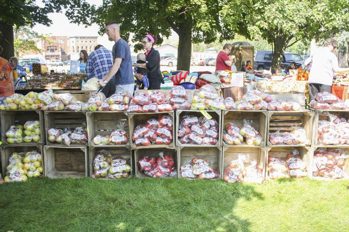 Crates of apples stacked onto of each other at apple fest