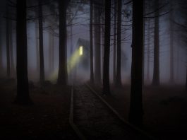 Spooky halloween photo via. Pixaby