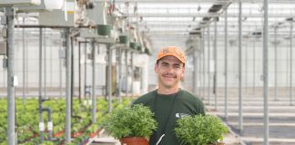 Man holding plants in a green house