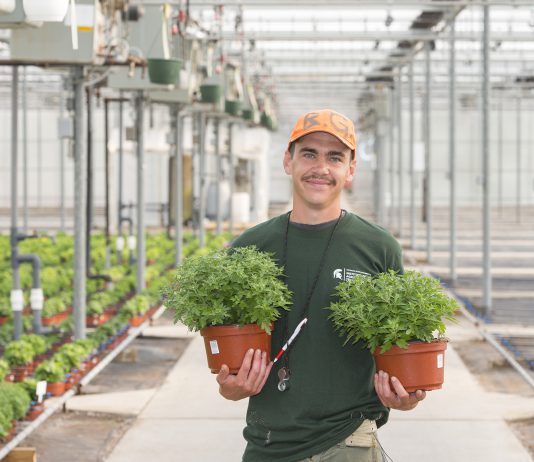 Man holding plants in a green house