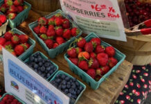 Fruit on sale in a market.