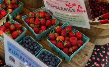 Fruit on sale in a market.