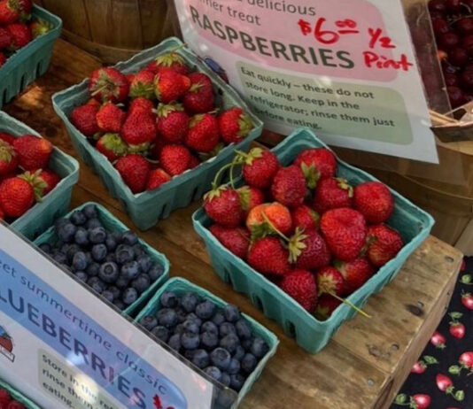 Fruit on sale in a market.