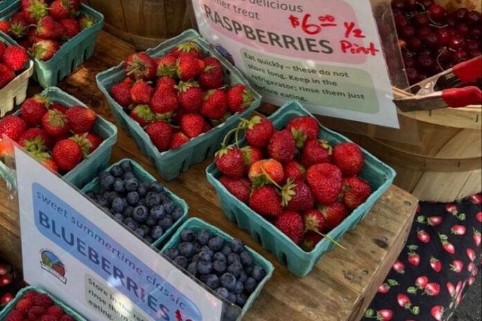 Fruit on sale in a market.