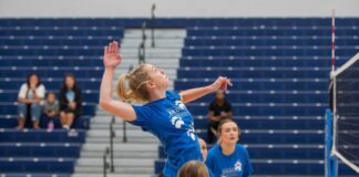 A volleyball player jumps to spike the ball.